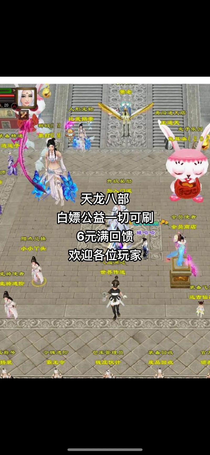 天龙八部公益服发布平台：汇聚丰富资源，满足多样需求